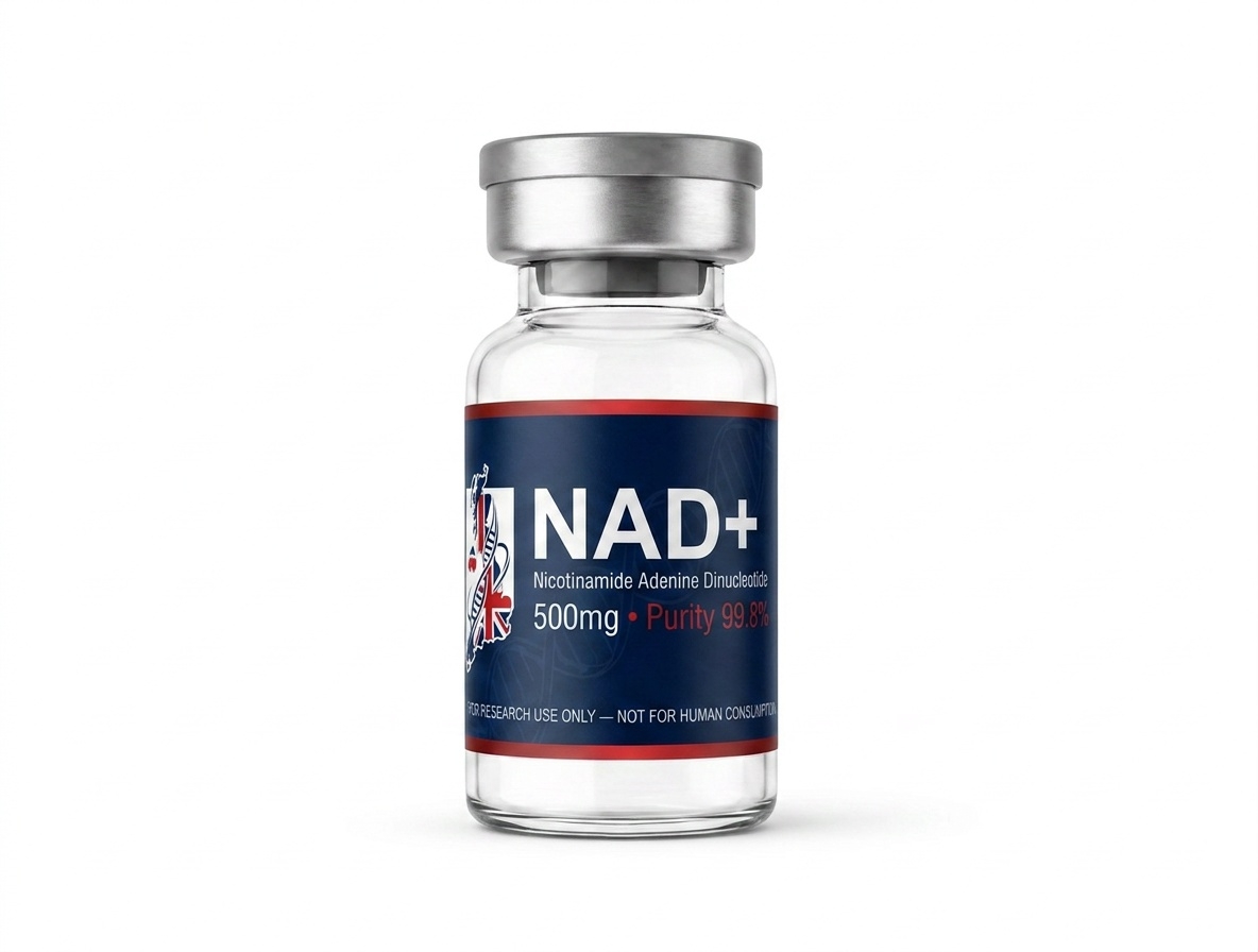 NAD+ 500 mg lyophilized research peptide vial